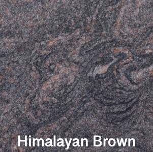 Himalayan-Brown