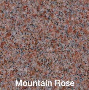 Moutain-Rose