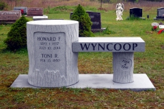 Clarion_Wyncoop