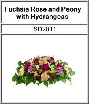 SD2011