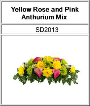 SD2013