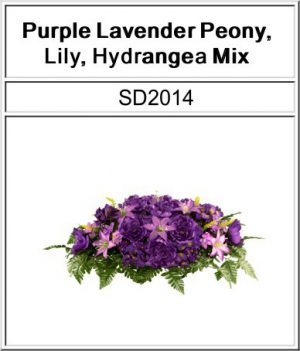 SD2014