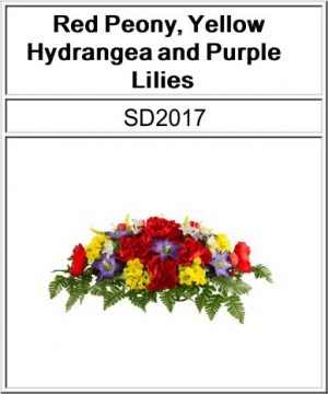 SD2017