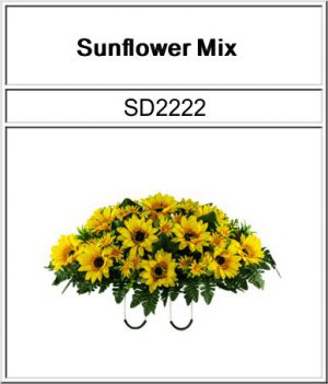 SD2222